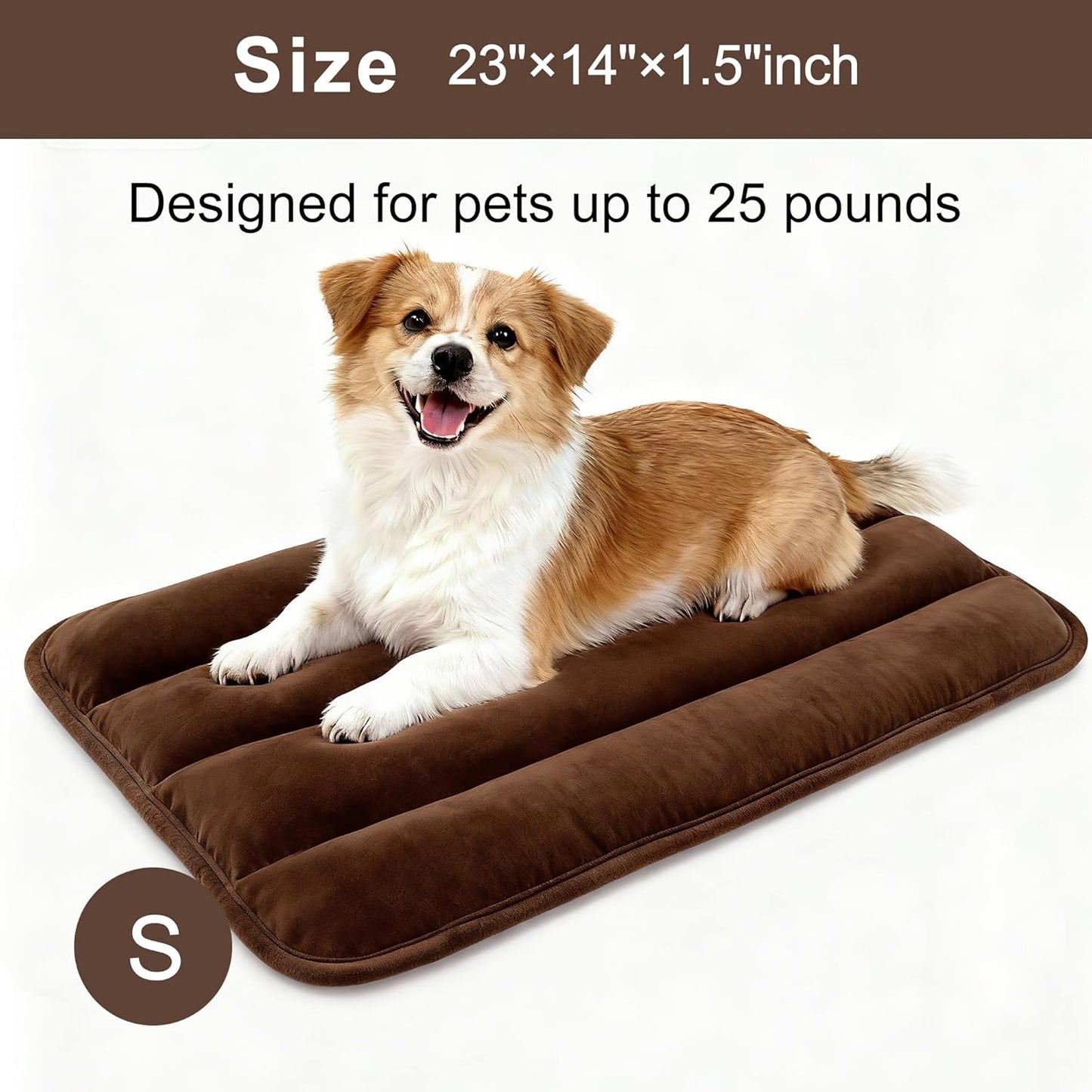 Dog Bed Mat, Reversible Crate Pad & Cute Dog Bed - Machine Washable Kennel Mat with Ultra Soft for Small Dogs (Cool/Warm), 24" x 18", Grey&Star