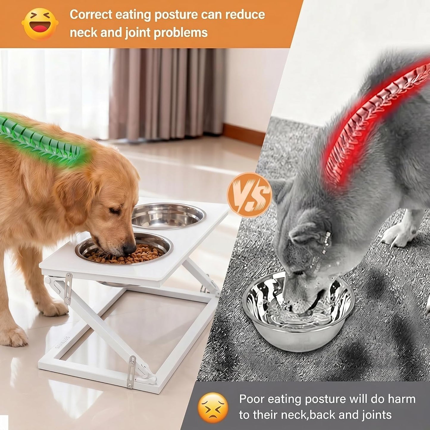 Elevated Dog Bowls, Adjustable Raised Dog Bowl Stand with 2 Stainless Steel Food Bowls 20°Tilted Water Bowls for Medium Small Sized Dogs (Black, Medium)