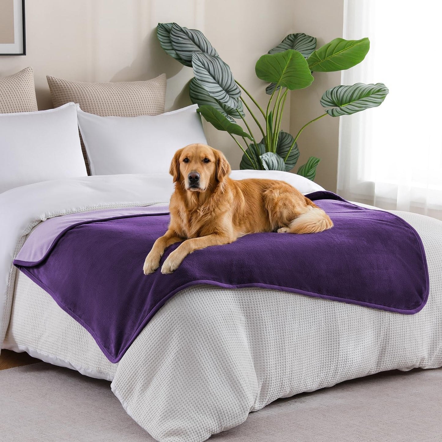 Waterproof Blanket 60"x80" for Adults, Reversible Waterproof Bed Cover for Dogs Cats Pets, Soft Leakproof Blanket for Bed Couch Sofa Furniture Protector, Dusty Pink/Off White