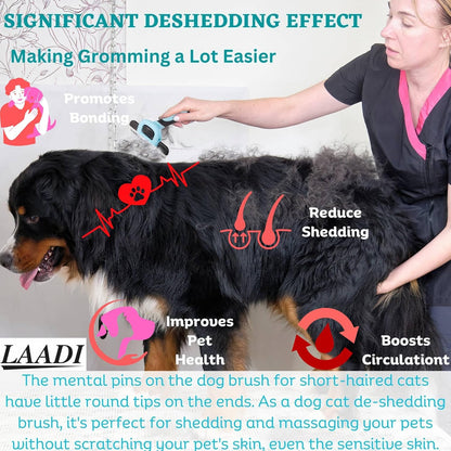 LAADI Deshedding Tool for Dogs and Cats - Reduces Shedding by Up to 95% in Less Than 10 Minutes - Professional Grooming Brush for All Hair Types - Ergonomic Design and Skin Massage Needles - Blue