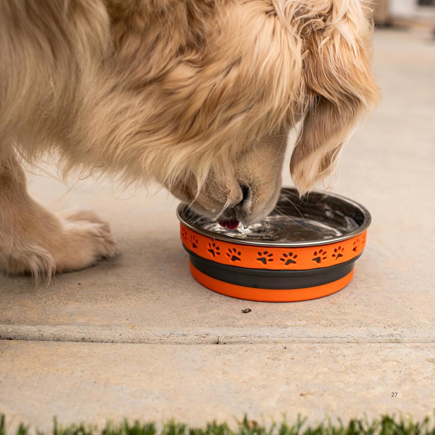 Loving Pets Corsa Dog Bowls- Stainless Steel Dog & Cat Bowls - Spill Proof Dog Food Bowl, Cat Bowl, Puppy Essentials & Pet Supplies Great for Home & Travel (Small 10-20 lbs, Rapid Blue)
