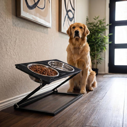 Elevated Dog Bowls, Adjustable Raised Dog Bowl Stand with 2 Stainless Steel Food Bowls 20°Tilted Water Bowls for Medium Small Sized Dogs (Black, Medium)
