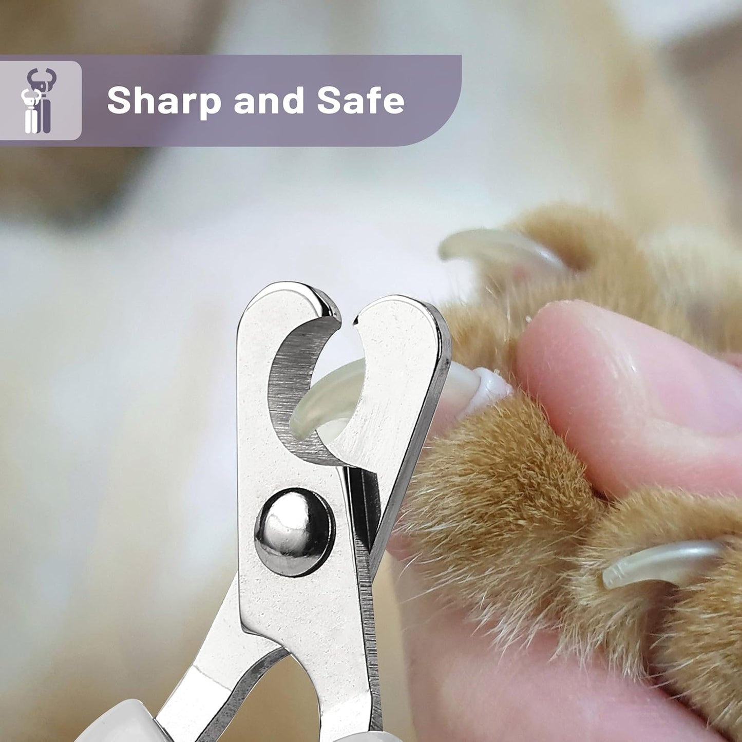 Mr. Pen- Cat Nail Clipper, Stainless Steel, Professional Sharp Cat Claw Trimmer for Small and Medium Cats, Pet Nail Clipper with Sturdy Non Slip Handle