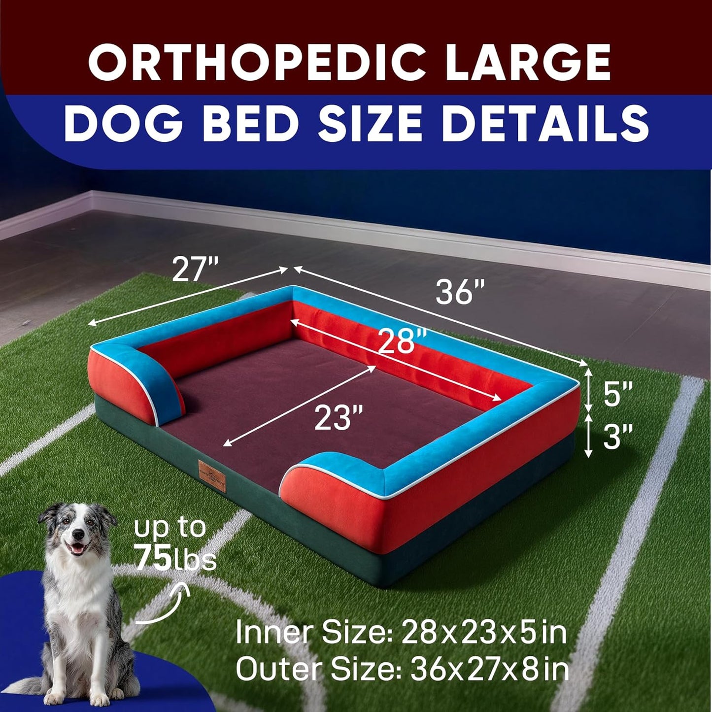 Comfort Expression Orthopedic Dog Bed for Extra Large Dogs 42x30 Inch, Waterproof Egg Crate Foam XL Pet Bed with Removable Bolsters, Dog Couch with Washable Cover & Non-Slip Bottom, Grey - Colors B