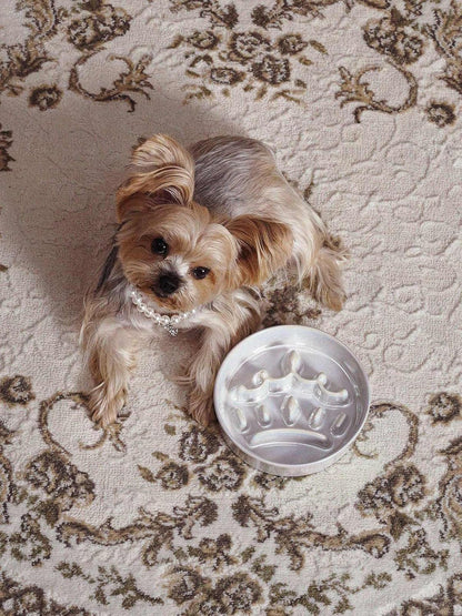 LE TAUCI Dog Bowls Slow Feeder Ceramic, 1.5 Cup Slow Feeding Bowl for Small and Medium Breed, Puzzle Dog Food Bowl for Fast Eater, Maze Purple