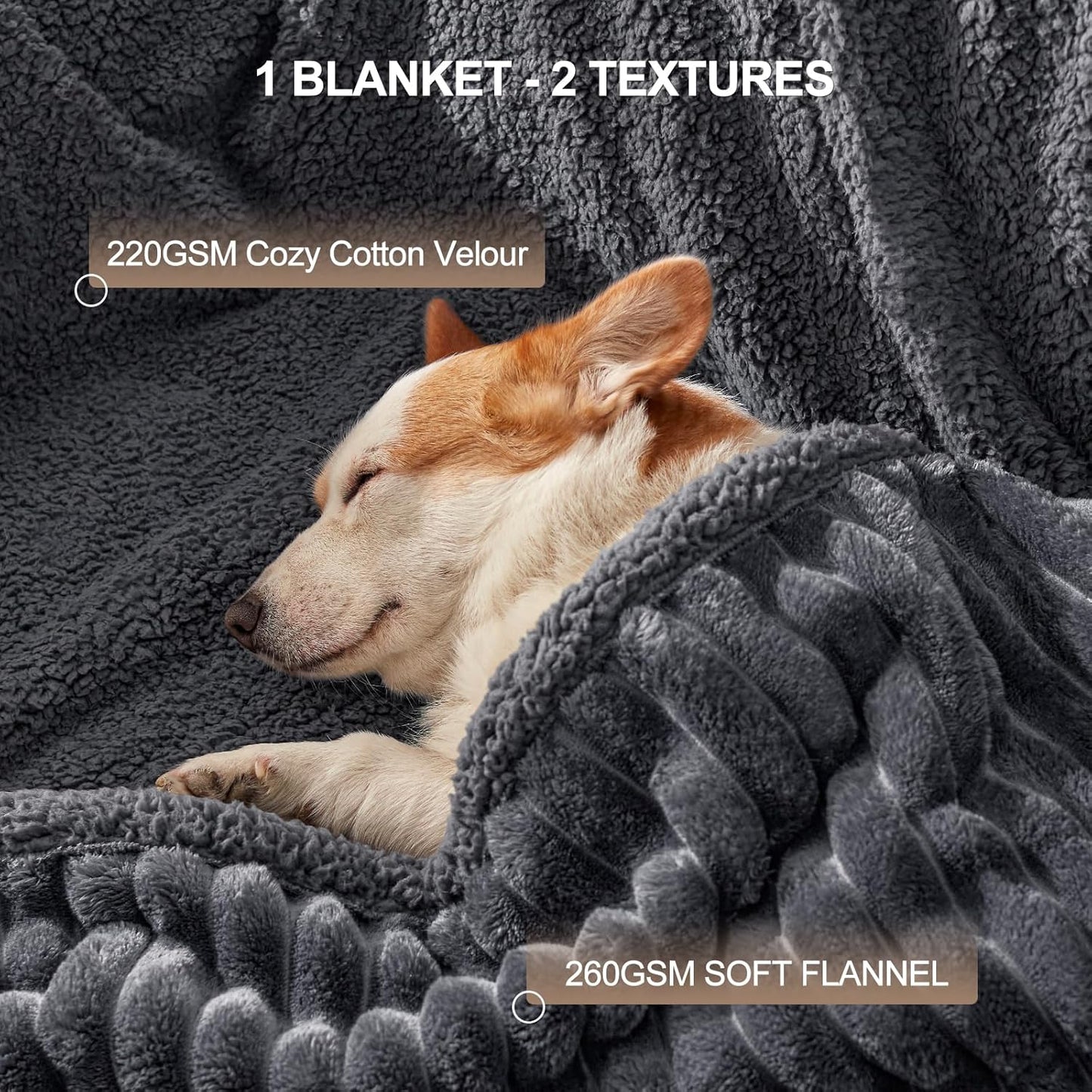 AIPERRO Waterproof Dog Blanket for Large Dogs, Washable Soft Puppy Cat Blanket Flannel Cotton Velour for Sofa Couch Protector, Comfort & Security Reversible Bed Protection for Pet, 50"X60", Gray