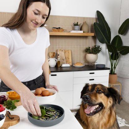 Should We Go? Slow Feeder for Dogs & Puppies, The Slowdown Bowl Silicone Slow Eating, Modern Lick Mat Design, Reduces Gulping, Fits 2 Cups, 7.5” Across x 1.5” Tall, Mealtime Challenge, Medium-Blush