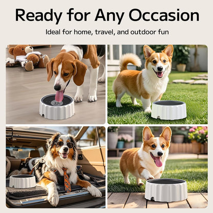 Dog Water Bowl 70oz/2L Large Capacity Water Dispenser No Spill Non Slip No Splash Pet Slow Feeder No Drip Vehicle Carried Travel Slow Drinking Bowl for Dogs Cat(White)