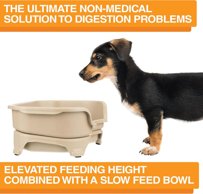 Neater Feeder Express Mess Proof Dog Bowls Elevated for Small Breeds under 15 Lb, Made in USA, No Spill Raised Dog Food Bowl Stand, Stainless Steel Food and Water Bowl Set, Feeding Station, Cappuccino