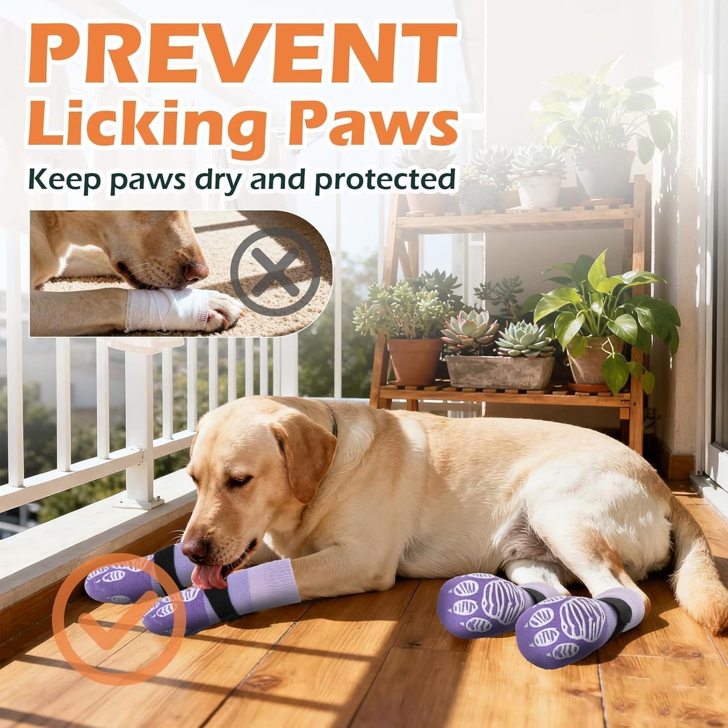 EXPAWLORER Anti Slip Dog Socks to Prevent Licking Paws, Dog Shoes for Hot Pavement Walk, Dog Booties for Hardwood Floors, Dog Boots & Paw Protectors with Grippers for Small Medium Large Senior Dogs M