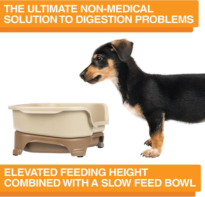Neater Feeder Express Mess Proof Dog Bowls Elevated for Small Breeds under 15 Lb, Made in USA, No Spill Raised Dog Food Bowl Stand, Stainless Steel Food and Water Bowl Set, Feeding Station, Cappuccino