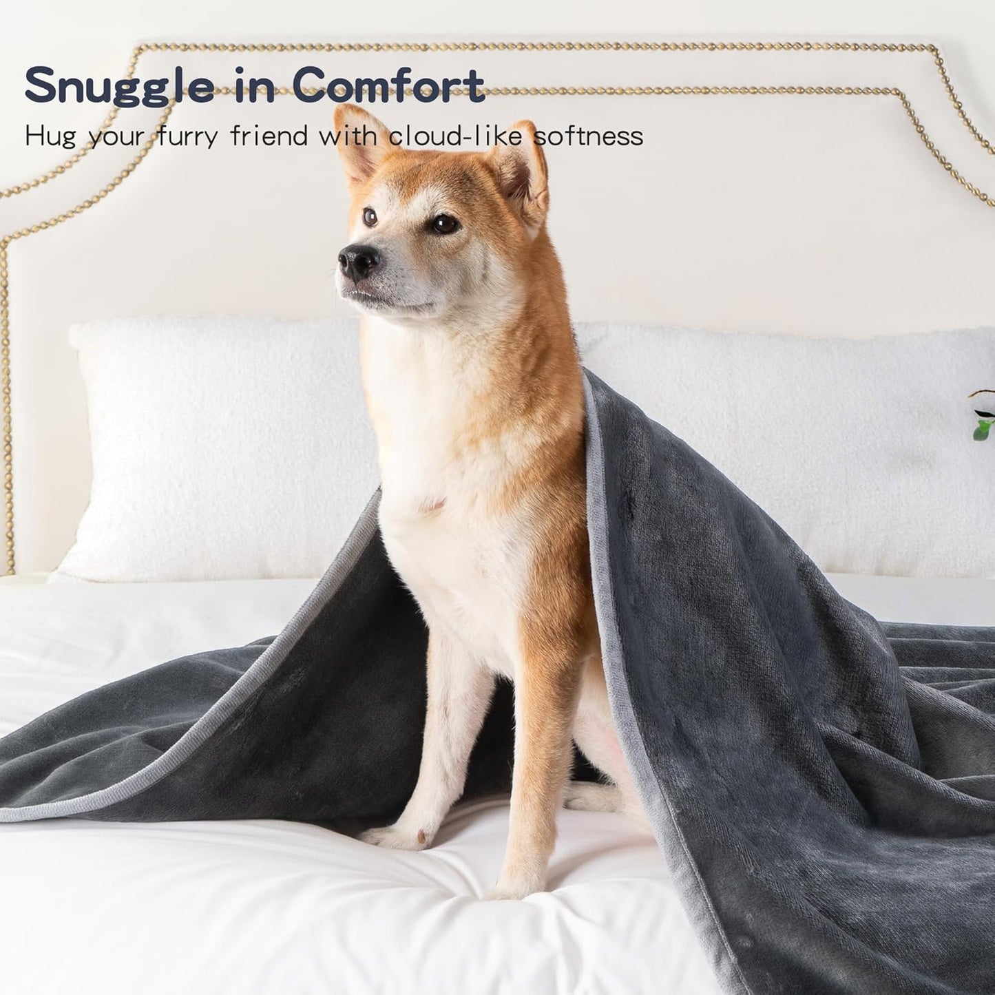 Waterproof Dog Blankets Pet Blanket 50"x60", Soft Fluffy Sofa Car Bed Protector, Reversible Sherpa Fleece Dog Blanket for Large Dogs (Dark Grey-Paws)
