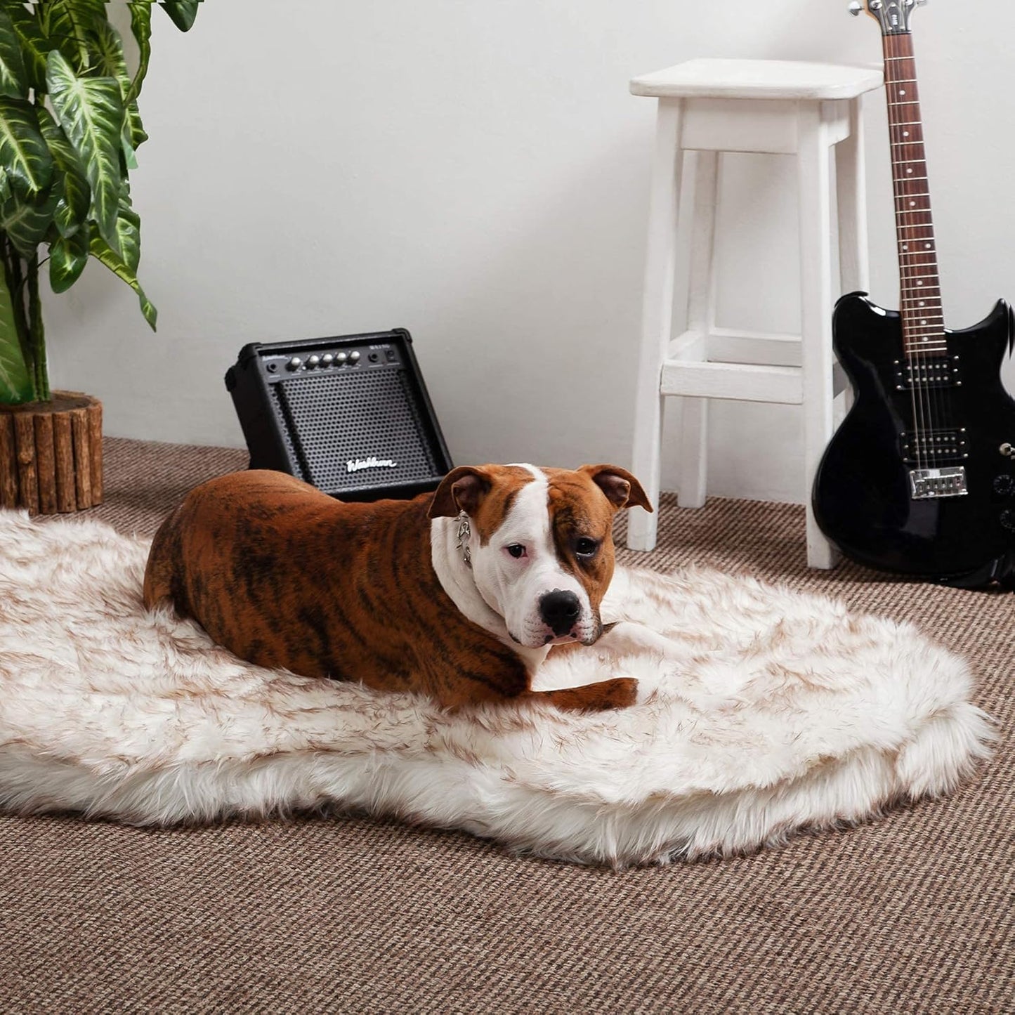 IHAPPYDOG Luxury Faux Fur Orthopedic Dog Bed, Memory Foam Dog Bed for Small, Medium, Large and XL Pets, Fluffy Pet Bed with Waterproof and Washable Cover (White w/Brown Tips, 50"x30")