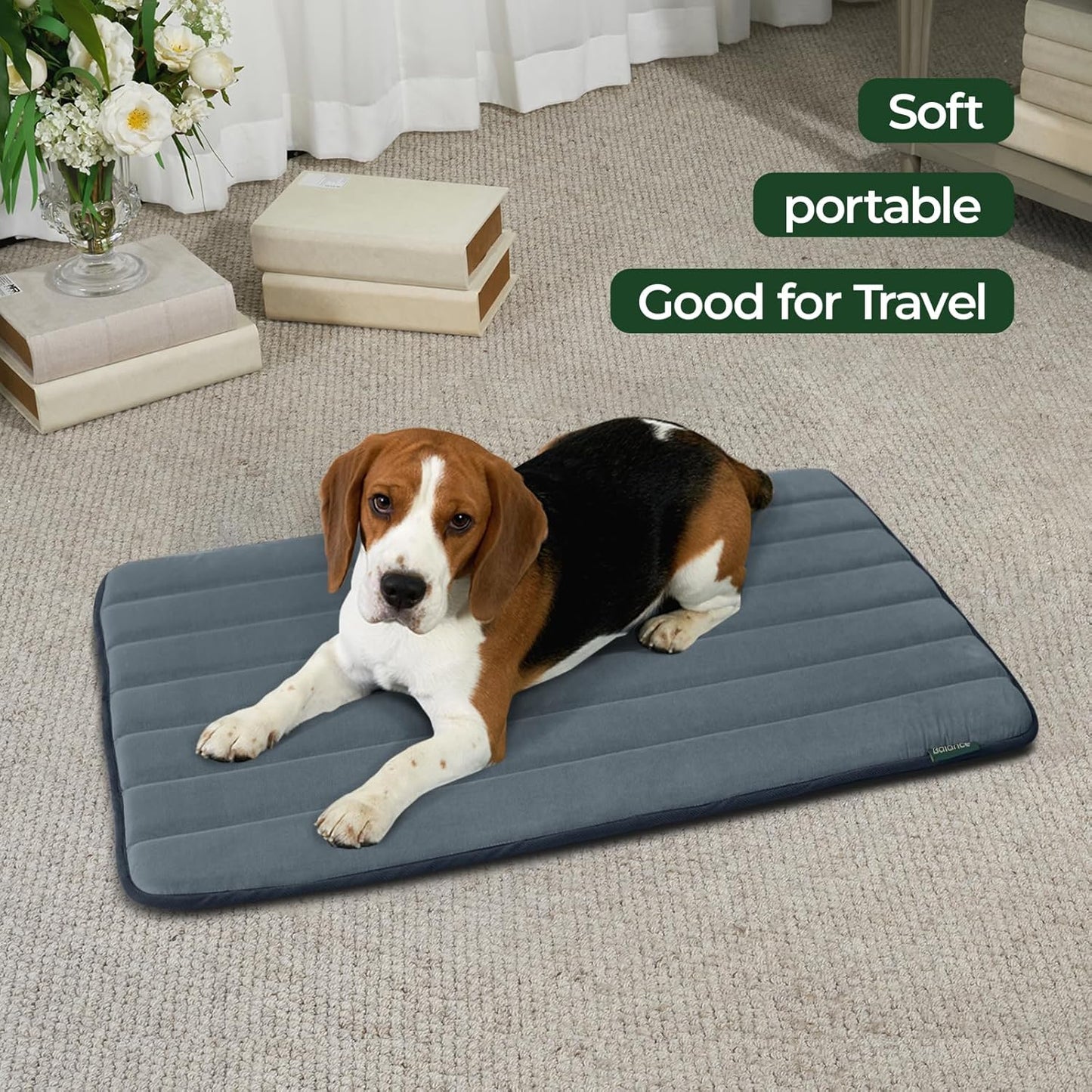 BALANCE Dog Crate Pad, Dog Foam Crate Mat Kennel Pad, Washable Water-Resistant Pet Bed Flat Dogs Cage Mat for Small Dogs
