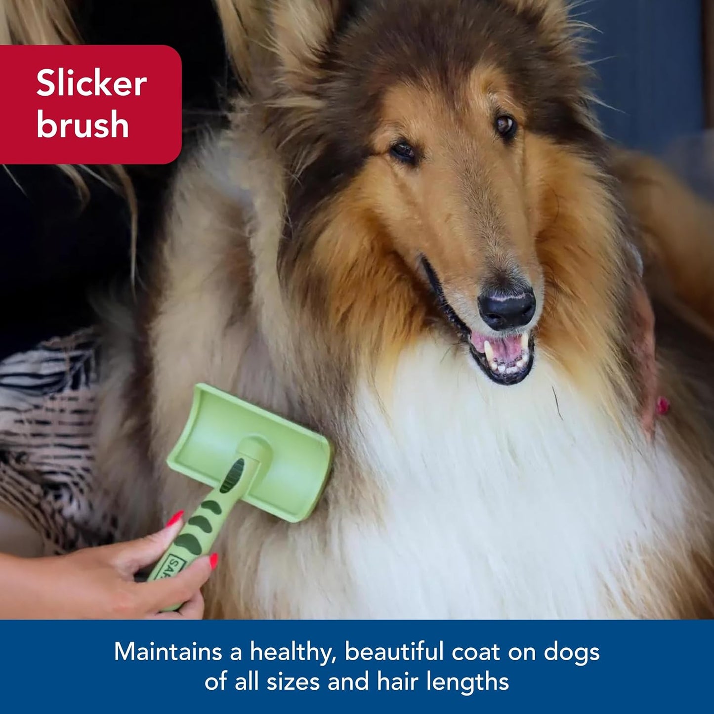 Coastal Pet - Safari - Curved Firm Slicker Brush with Coated Tips for Long Hair, No Color, Medium (6.5" L x 4.0625" W)