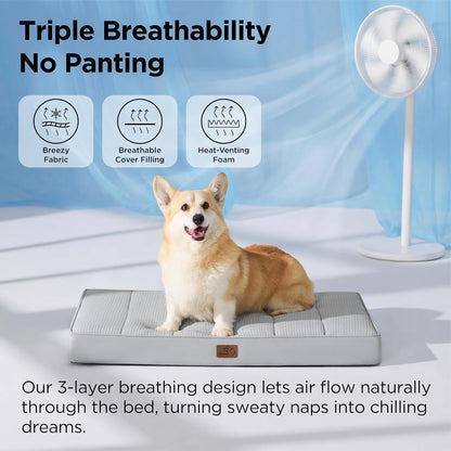 Bedsure Dog Beds Large Sized Dog - Comfy Flat Pet Beds with Removable Washable Cover, Orthopedic Egg Crate Foam Puppy Mat, Suitable for Pet Up to 65 lbs