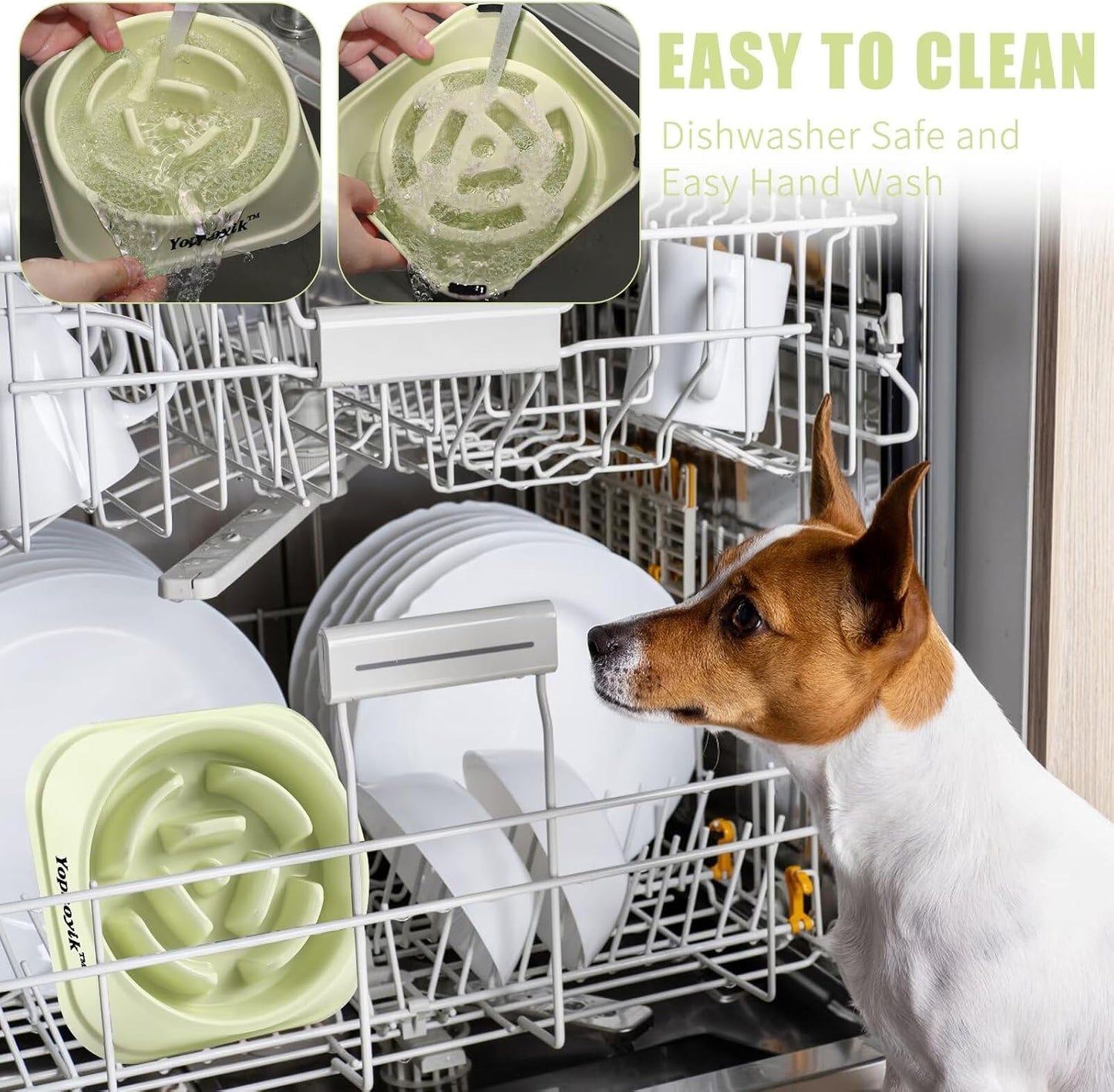 2 Pack Slow Feeder Dog Bowls for Healthy Eating, Non-Slip and Anti-Choking Design, Reduces Bloating & Overeating for Medium Dogs and Cats, Easy to Clean