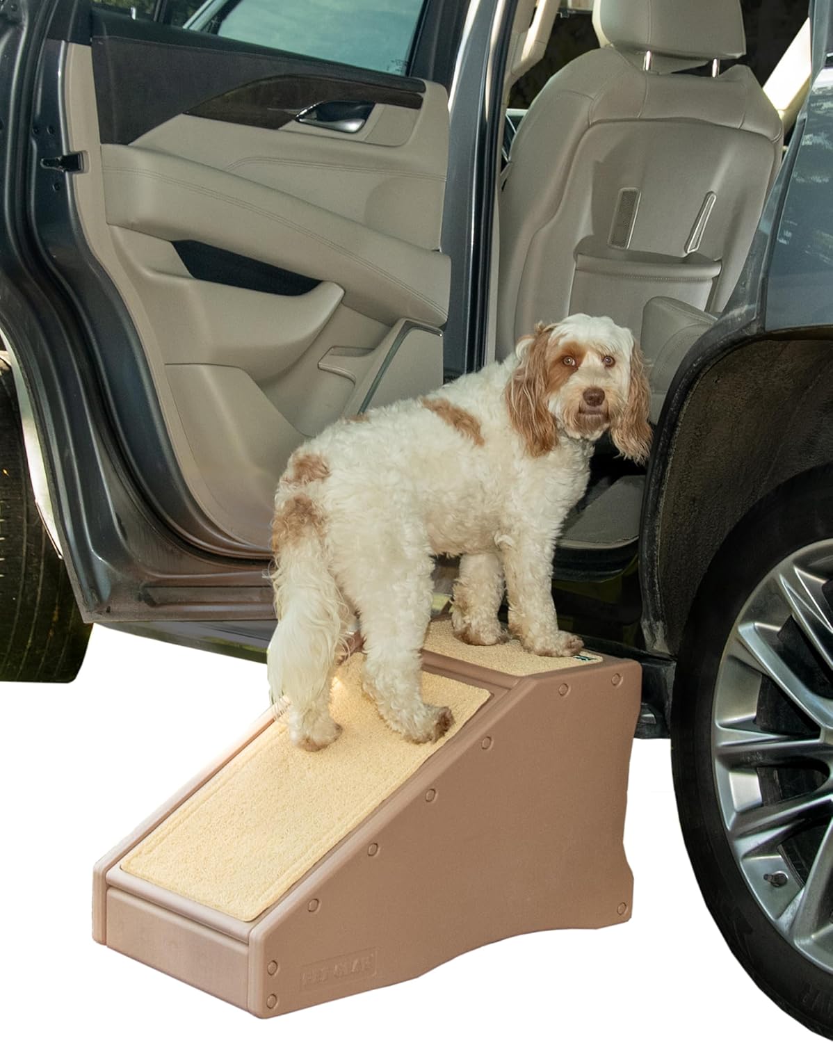 Pet Gear Stramp Stair and Ramp Combination for Dogs/Cats, Easy Step, Lightweight/Portable, Sturdy, Easy Assembly (No Tools Required) 1 Model, Coffee Bean