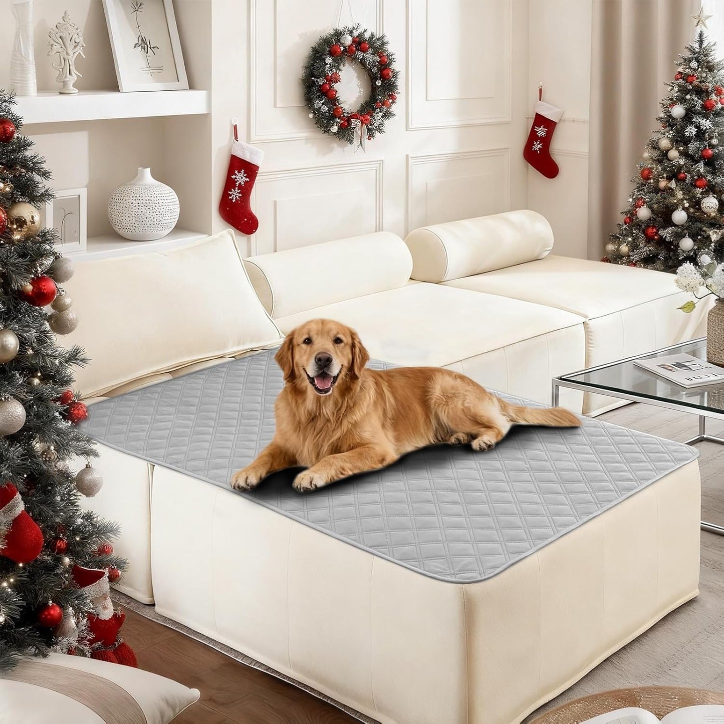 Waterproof Dog Blanket, Non-Slip Soft Pet Bed Cover, Couch Cover for Dogs Washable, Protects Sofa, Furniture, Crate, Car, Tear Resistant Leakproof Pet Blanket (30x70 Inch, Dark Grey)