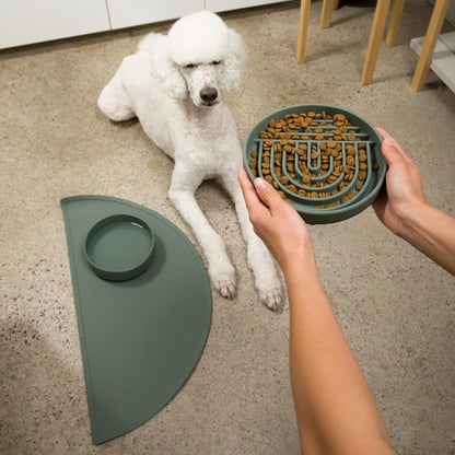 Should We Go? Slow Feeder for Dogs & Puppies, The Slowdown Bowl Silicone Slow Eating, Modern Lick Mat Design, Reduces Gulping, Fits 2 Cups, 7.5” Across x 1.5” Tall, Mealtime Challenge, Medium-Blush