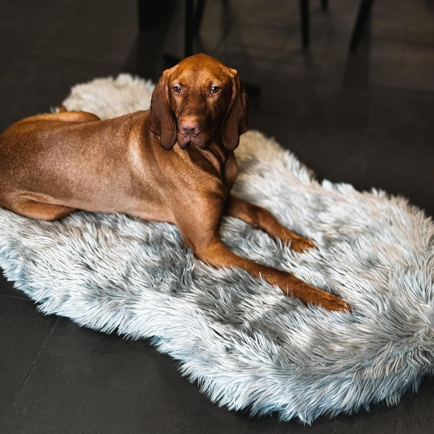 IHAPPYDOG Luxury Faux Fur Orthopedic Dog Bed, Memory Foam Dog Bed for Small, Medium, Large and XL Pets, Fluffy Pet Bed with Waterproof and Washable Cover (White w/Brown Tips, 50"x30")