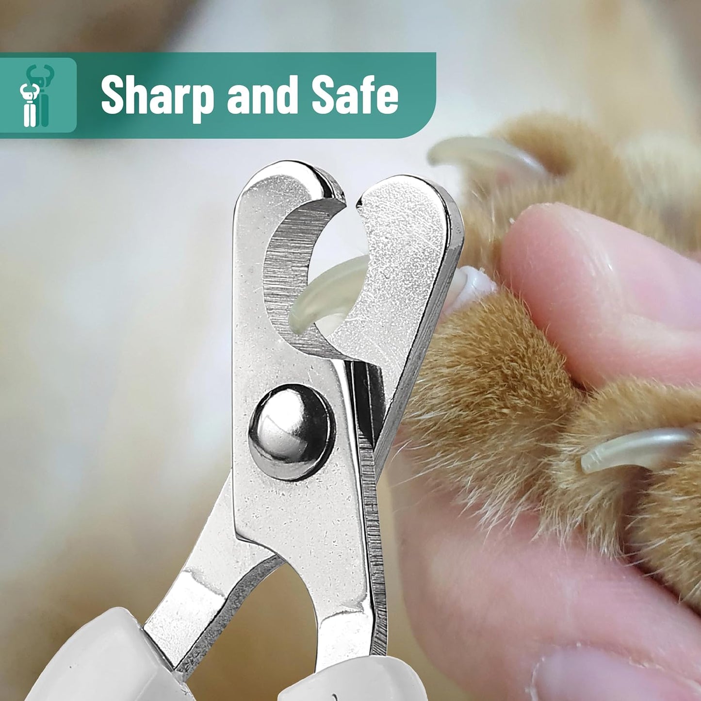Mr. Pen- Cat Nail Clipper, Stainless Steel, Professional Sharp Cat Claw Trimmer for Small and Medium Cats, Pet Nail Clipper with Sturdy Non Slip Handle