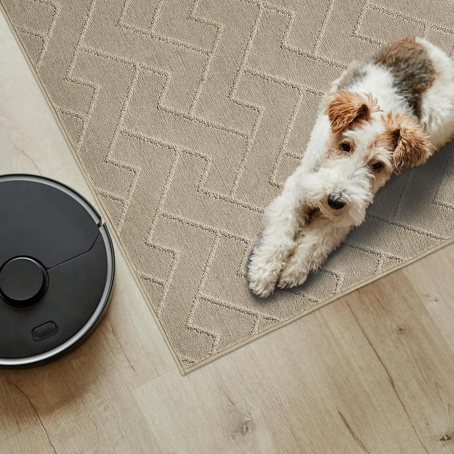 PURRUGS Dirt Trapping Door Mat 20" x 31.5", Non-Slip Machine Washable Entry Rug, Dog Doormat, Indoor Front Door Mat, Super Absorbent Entryway Rug for Muddy Shoes & Paws, Taupe