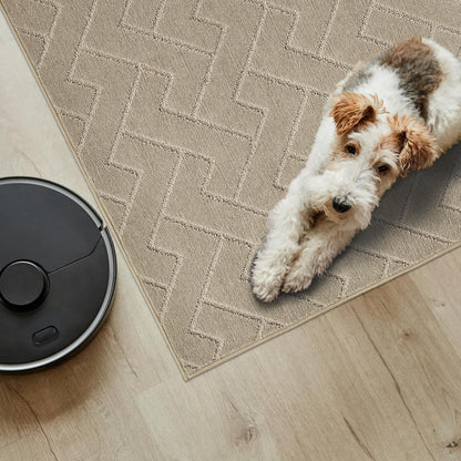 PURRUGS Dirt Trapping Door Mat 20" x 31.5", Non-Slip Machine Washable Entry Rug, Dog Doormat, Indoor Front Door Mat, Super Absorbent Entryway Rug for Muddy Shoes & Paws, Taupe