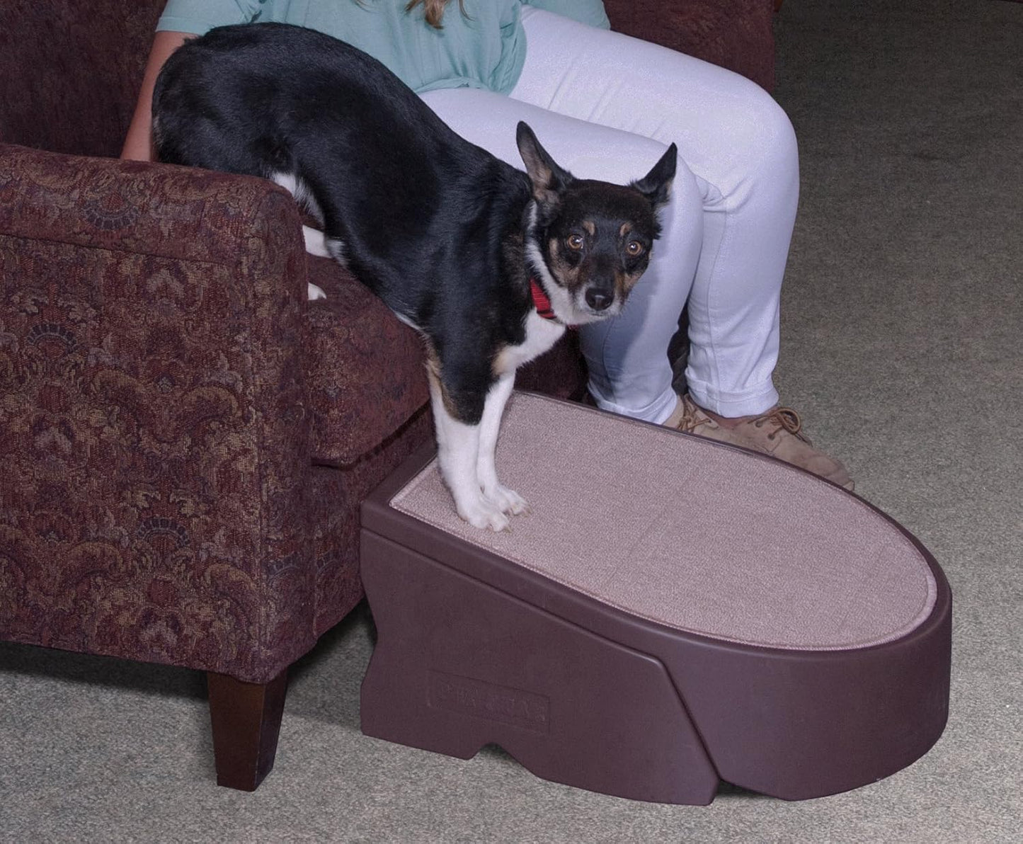 Pet Gear Stramp Stair and Ramp Combination for Dogs/Cats, Easy Step, Lightweight/Portable, Sturdy, Easy Assembly (No Tools Required), Dark Brown