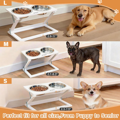 Elevated Dog Bowls, Adjustable Raised Dog Bowl Stand with 2 Stainless Steel Food Bowls 20°Tilted Water Bowls for Medium Small Sized Dogs (Black, Medium)