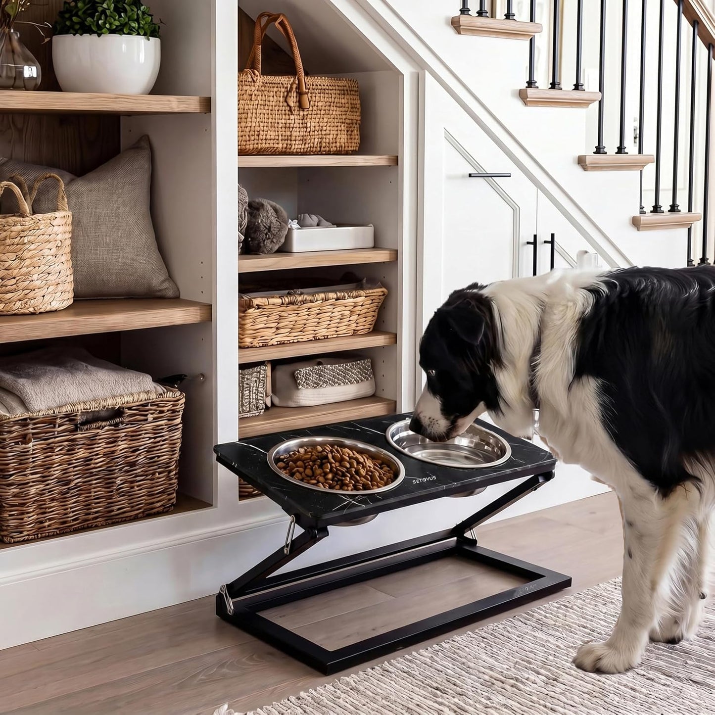 Elevated Dog Bowls, Adjustable Raised Dog Bowl Stand with 2 Stainless Steel Food Bowls 20°Tilted Water Bowls for Medium Small Sized Dogs (Black, Medium)