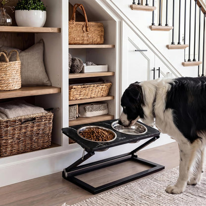 Elevated Dog Bowls, Adjustable Raised Dog Bowl Stand with 2 Stainless Steel Food Bowls 20°Tilted Water Bowls for Medium Small Sized Dogs (Black, Medium)