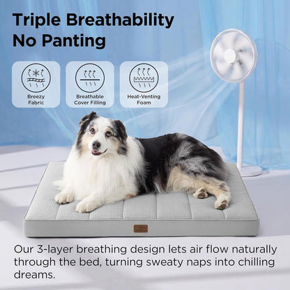 Bedsure Dog Beds Large Sized Dog - Comfy Flat Pet Beds with Removable Washable Cover, Orthopedic Egg Crate Foam Puppy Mat, Suitable for Pet Up to 65 lbs