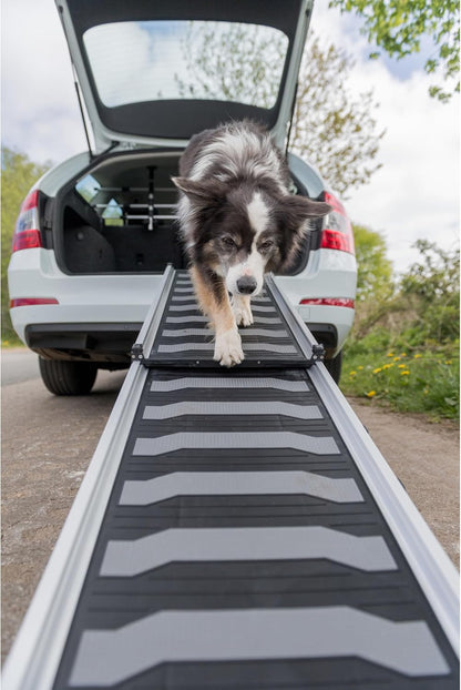 Trixie Folding Dog Ramp with Non-Slip Surfaces - Pet Ramp for Large Cars and SUVs - Foldable, Easy to Store and Clean - in Black