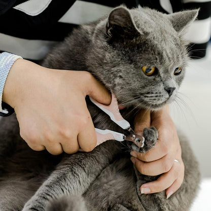 Mr. Pen- Cat Nail Clipper, Stainless Steel, Professional Sharp Cat Claw Trimmer for Small and Medium Cats, Pet Nail Clipper with Sturdy Non Slip Handle
