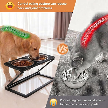 Elevated Dog Bowls, Adjustable Raised Dog Bowl Stand with 2 Stainless Steel Food Bowls 20°Tilted Water Bowls for Medium Small Sized Dogs (Black, Medium)