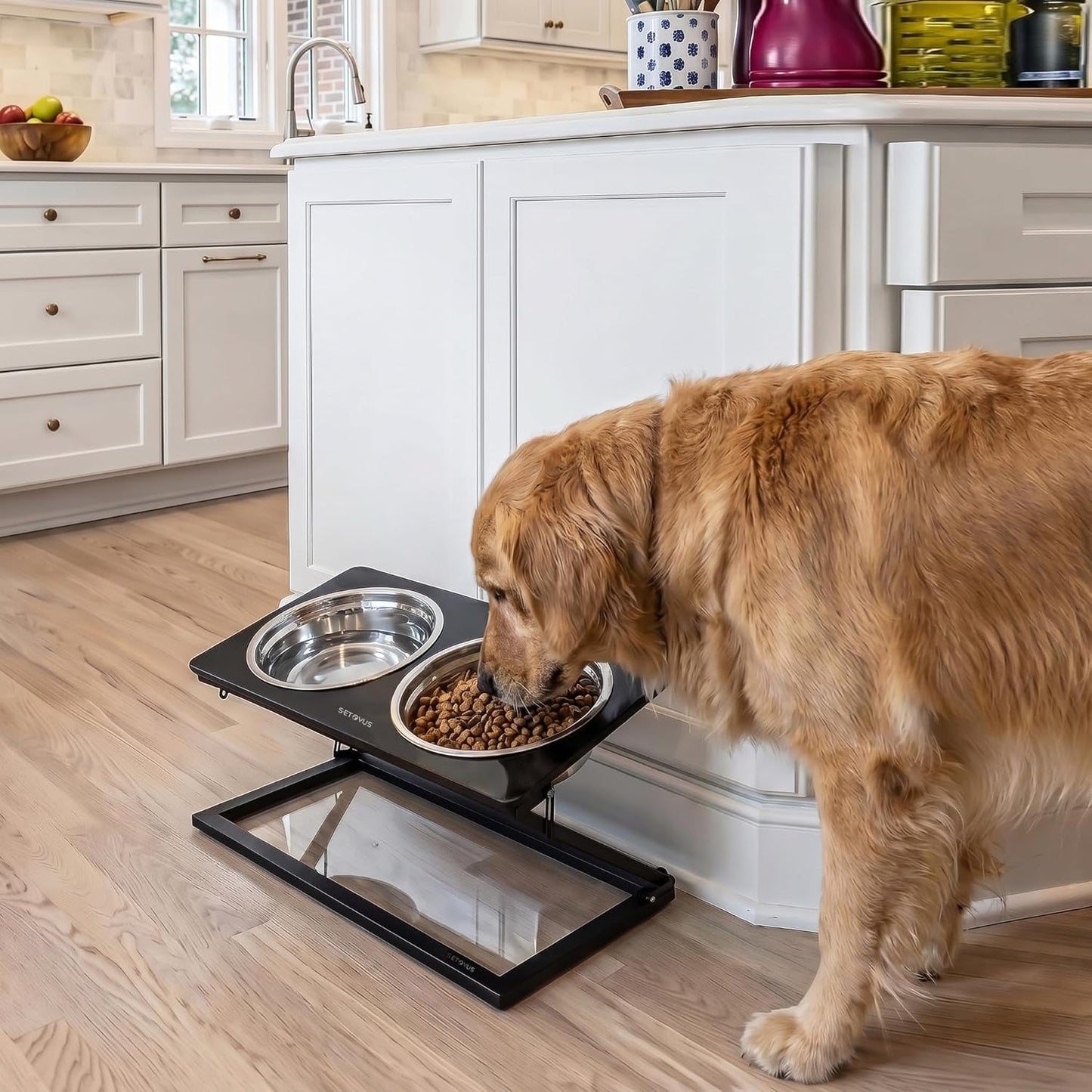Elevated Dog Bowls, Adjustable Raised Dog Bowl Stand with 2 Stainless Steel Food Bowls 20°Tilted Water Bowls for Medium Small Sized Dogs (Black, Medium)