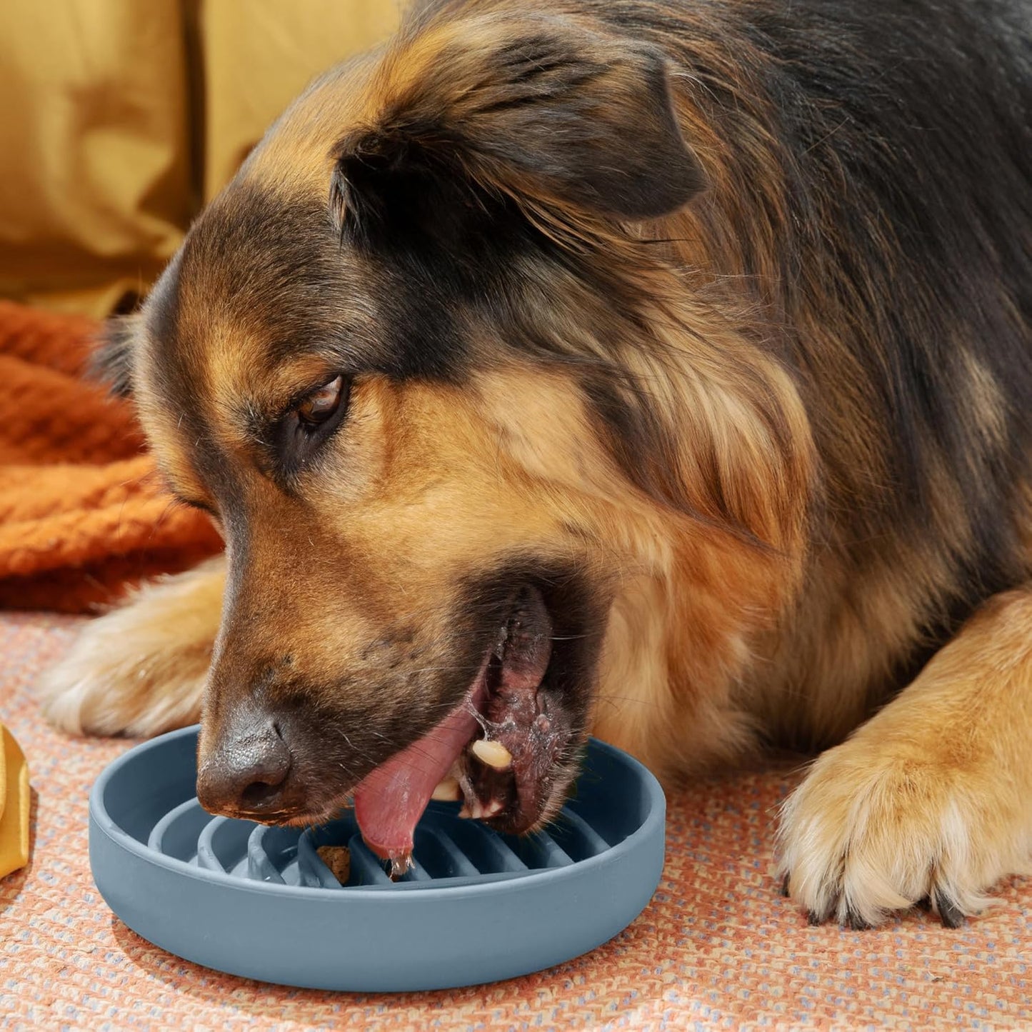 Should We Go? Slow Feeder for Dogs & Puppies, The Slowdown Bowl Silicone Slow Eating, Modern Lick Mat Design, Reduces Gulping, Fits 2 Cups, 7.5” Across x 1.5” Tall, Mealtime Challenge, Medium-Blush