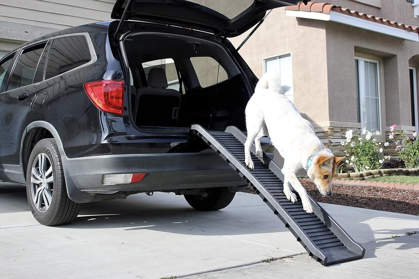 PawStep 61" Folding Pet Ramp, Portable Dog Ramp for Cars, SUVs, Beds & Couches, Lightweight PP Construction, Textured Surface, Optional Carpet for Added Traction, 165 lb Capacity (50524)