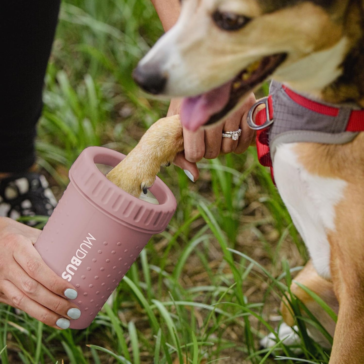 Dexas MudBuster Medium Dog Paw Cleaner in Fuchsia - Fits 1.5"-2.5" Wide Paws, Portable Paw Washer for Muddy Paws, Dog Paw Cleaning Cup with Gentle Silicone Bristles, Quick Clean Pet Paw Washer