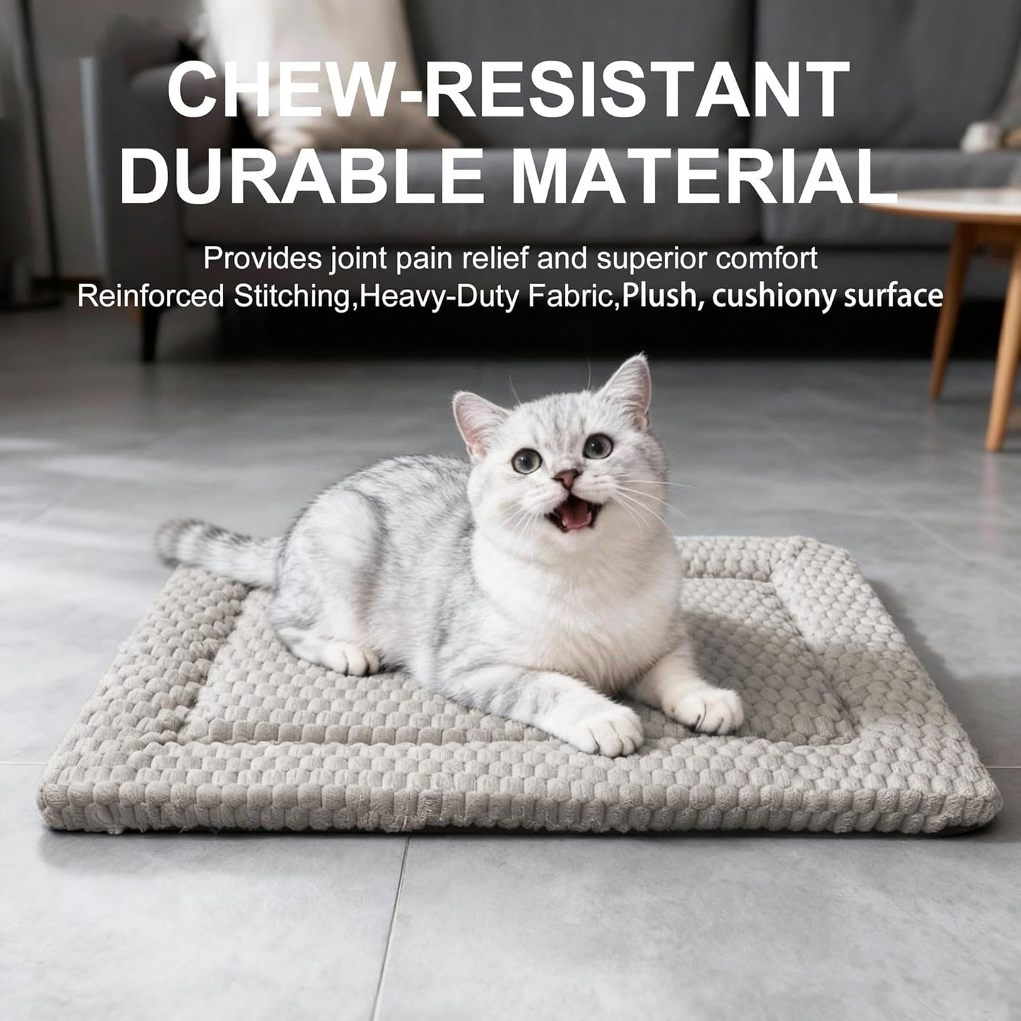 Dog Bed Mat, Reversible Crate Pad & Cute Dog Bed - Machine Washable Kennel Mat with Ultra Soft for Small Dogs (Cool/Warm), 24" x 18", Grey&Star