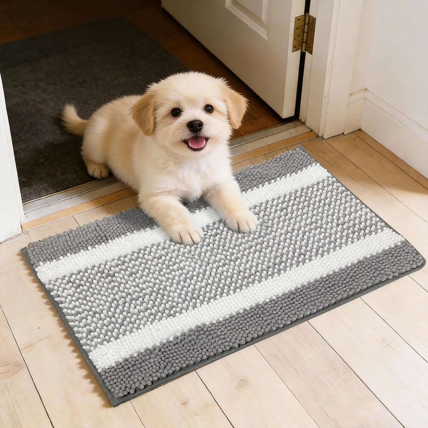 Dog Door Mat for Muddy Paws - Absorbent Quick-Dry Non-Slip Washable Chenille Pet Rug, Indoor Entryway Mat for Front Door & Crate (Brown, 24" L*16" W)