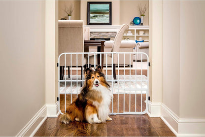 Carlson 18-30.75" Mini Expandable Dog Gate with Small Pet Door, Pressure Mounted Metal Indoor Pet Gate for Doorways & Bottom of Stairs, Cat Gate, White