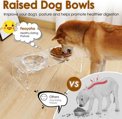 Elevated Dog & Cat Bowls – 3.75” Acrylic Raised Pet Feeder Stand with 2 Stainless Steel & 2 Glass Bowls – Food & Water Dish Set for Puppy/Small Dogs & Cats