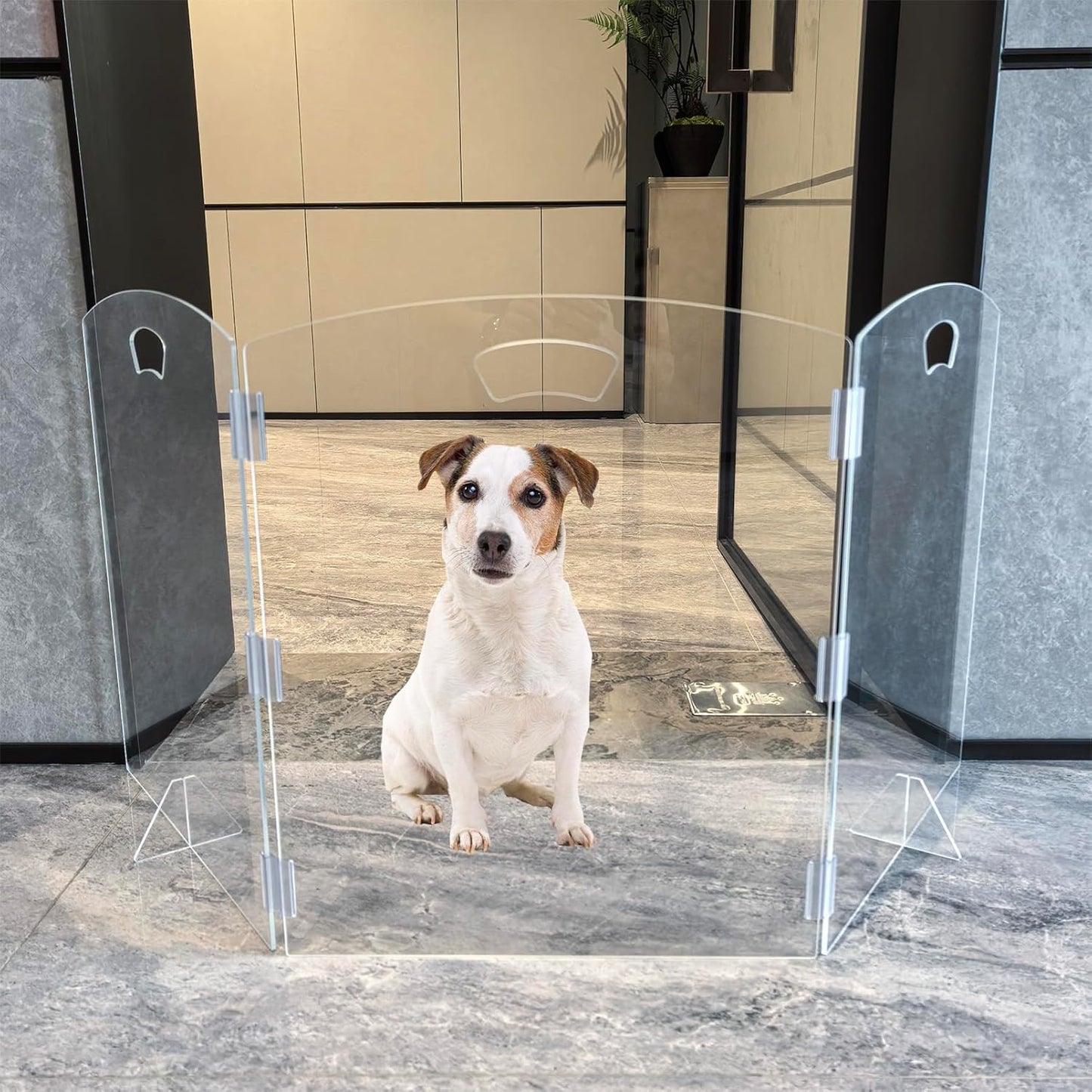 Clear Freestanding Dog Gate for Indoor Use,Pet Gates for Doorways no Drilling,Acrylic Foldable Dog Gate for Stairs with Support Feet (2 Panel - 40''W x 23''H)
