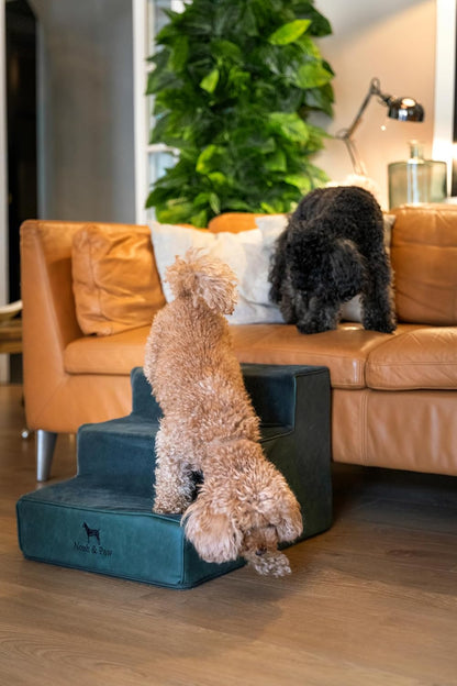 Noah & Paw Dog Stairs, Dog Ramp for Bed (20" Extra Wide) Pet Stairs for High Bed, Design to Fit Small and Large Breeds, Durable 5 Pet Steps for Couch (35 Foam Density) Leather Collection