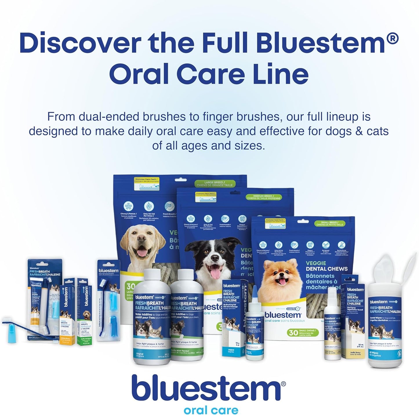 Bluestem Toothbrush and Finger Brush (Brush Set)