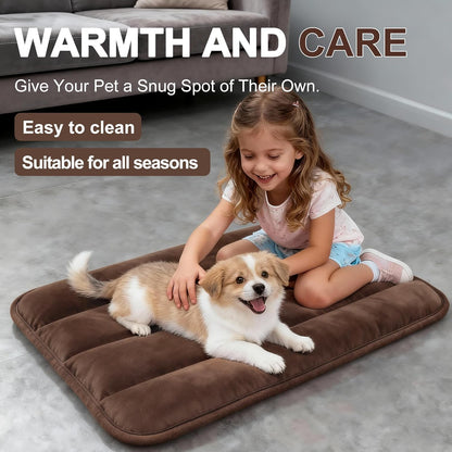 Dog Bed Mat, Reversible Crate Pad & Cute Dog Bed - Machine Washable Kennel Mat with Ultra Soft for Small Dogs (Cool/Warm), 24" x 18", Grey&Star