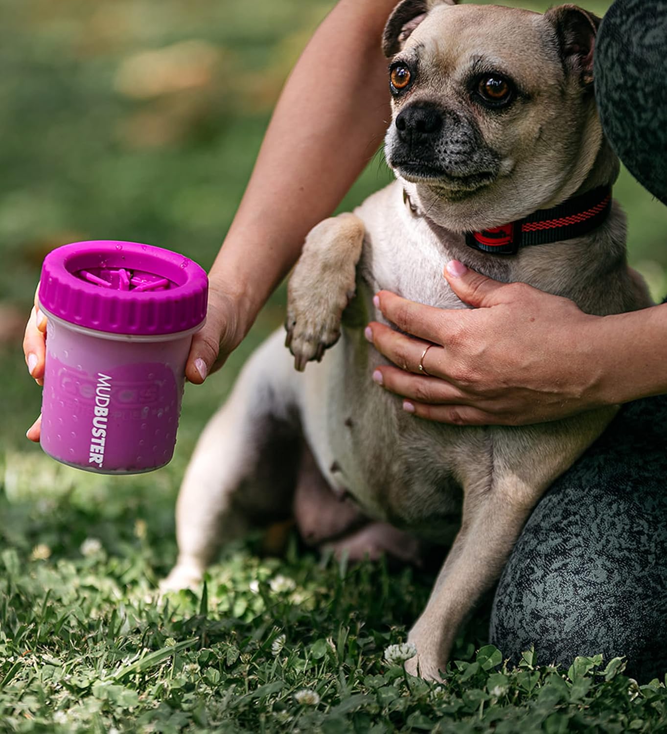 Dexas MudBuster Medium Dog Paw Cleaner in Fuchsia - Fits 1.5"-2.5" Wide Paws, Portable Paw Washer for Muddy Paws, Dog Paw Cleaning Cup with Gentle Silicone Bristles, Quick Clean Pet Paw Washer