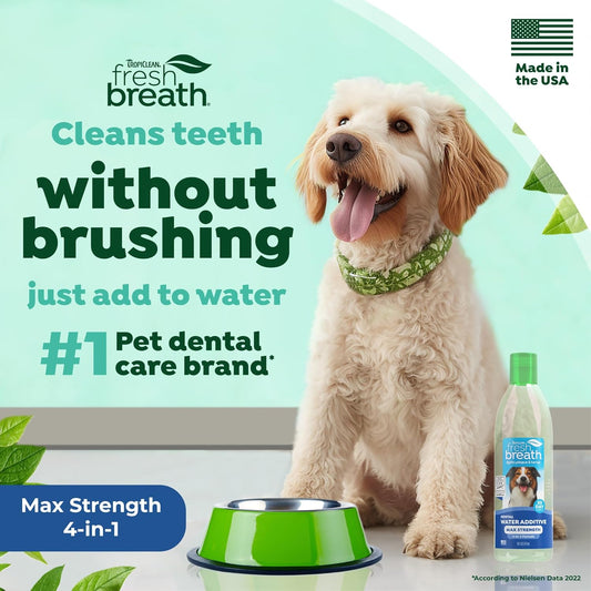 TropiClean Fresh Breath Water Additive for Dogs, Dog Breath Freshener and Teeth Cleaning Solution, No Toothpaste or Toothbrush Required, 16oz.